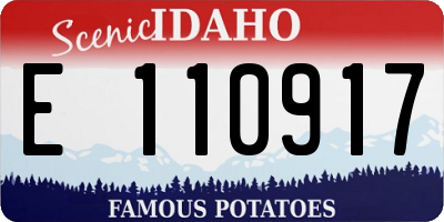 ID license plate E110917