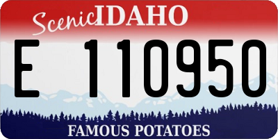 ID license plate E110950