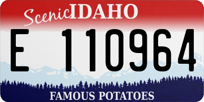 ID license plate E110964