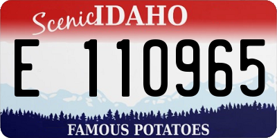 ID license plate E110965