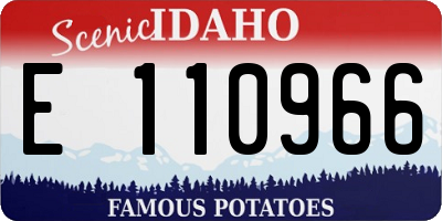 ID license plate E110966