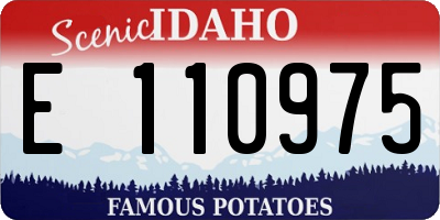 ID license plate E110975