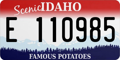 ID license plate E110985