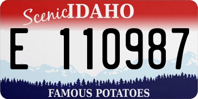 ID license plate E110987