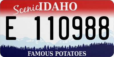 ID license plate E110988