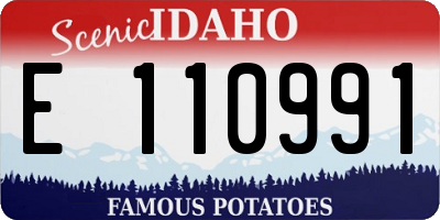 ID license plate E110991