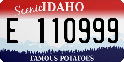 ID license plate E110999
