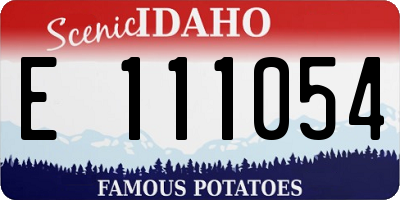 ID license plate E111054
