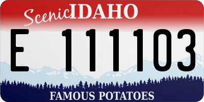 ID license plate E111103