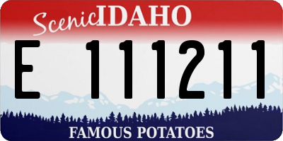ID license plate E111211