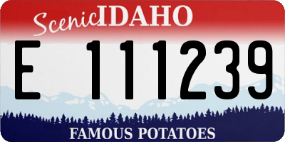 ID license plate E111239