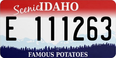 ID license plate E111263
