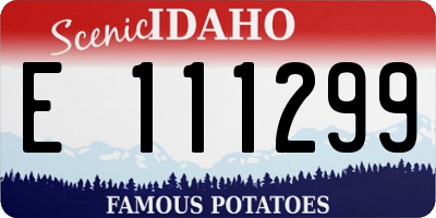 ID license plate E111299