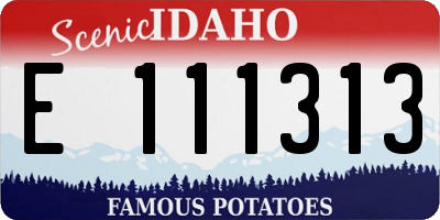 ID license plate E111313