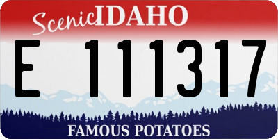 ID license plate E111317