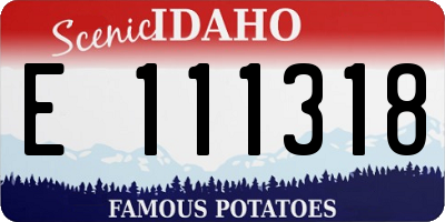 ID license plate E111318