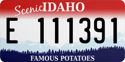 ID license plate E111391