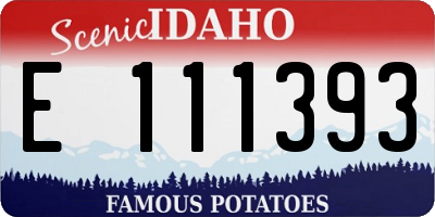 ID license plate E111393