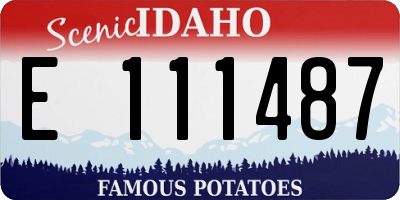 ID license plate E111487