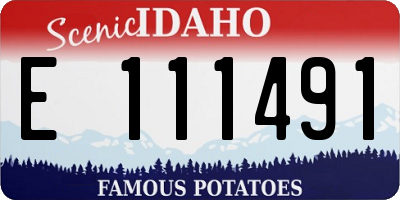 ID license plate E111491