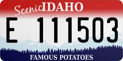 ID license plate E111503