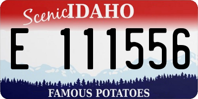 ID license plate E111556