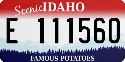 ID license plate E111560