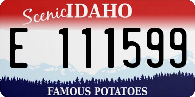 ID license plate E111599