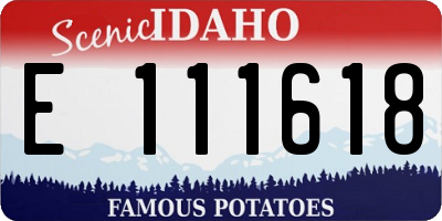 ID license plate E111618