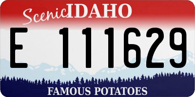 ID license plate E111629