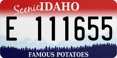ID license plate E111655