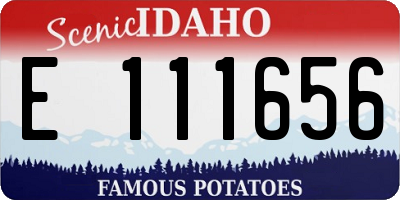 ID license plate E111656