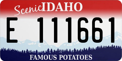 ID license plate E111661
