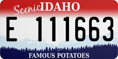 ID license plate E111663