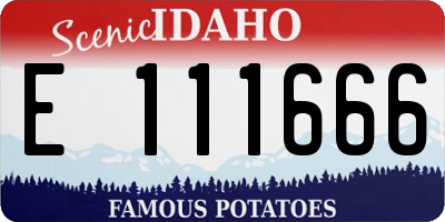 ID license plate E111666