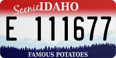 ID license plate E111677