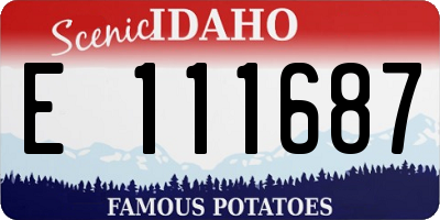 ID license plate E111687