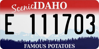 ID license plate E111703