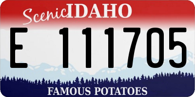 ID license plate E111705