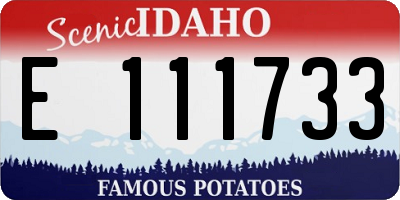 ID license plate E111733