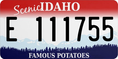 ID license plate E111755