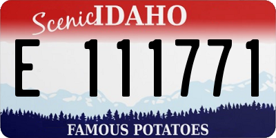 ID license plate E111771