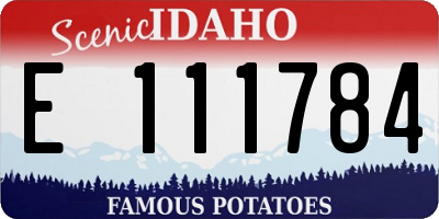 ID license plate E111784