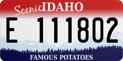 ID license plate E111802