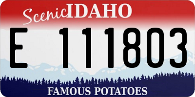 ID license plate E111803