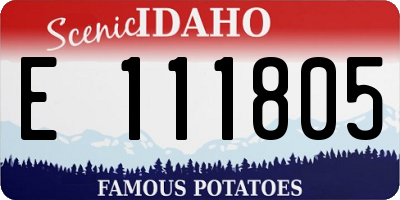 ID license plate E111805