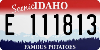 ID license plate E111813
