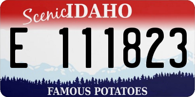 ID license plate E111823