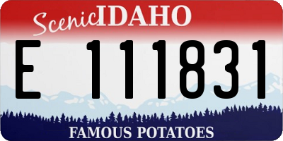 ID license plate E111831