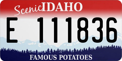 ID license plate E111836